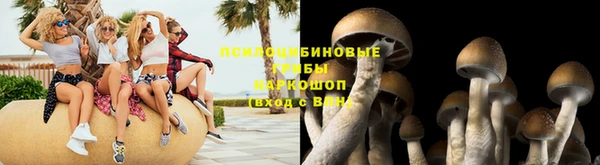 дживик Алексеевка