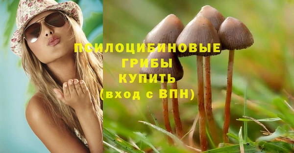 дживик Алексеевка