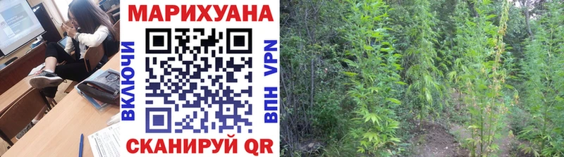 Конопля план  Нытва 